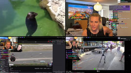BACK TO WORK 💣 PUBG WITH DOROZEA 💣 SPAIN - FRANCE SEMIFINALS WATCHALONG 💣 BOOOOOOOOOM 💣