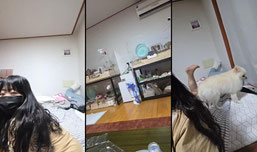 부산  해장이랑 한잔ㅅㅅㅅ