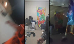 tiktok : @mushroomheadddddd