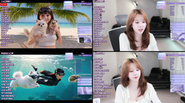 💙다시 서울사람이 됐자나 ㅇㅅㅇv
