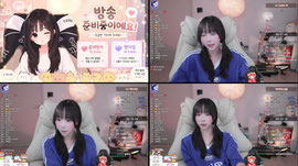 [뉴캣슬] 막내 강해지고 싶다 .... 입소 펀딩 모금 ON ㅠㅠ