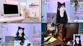 메챠카멜레온 시참 모집 중!!