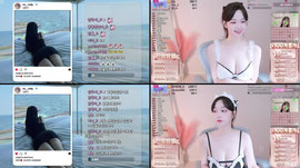 메이드