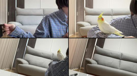 だれでもおいで♡