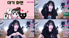 실수로 얼굴 노출된 버튜버