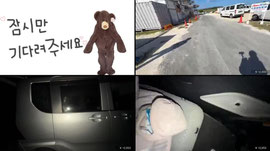 미야코섬 바다거북이랑 수영하기..제발 있어라 ㅜㅜ