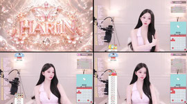 ㅡ