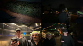 BRISBANE IRL STREAM.