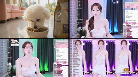 [씨나인: 신입]  1414 제발  핑크 ?  굿모닝        방셀 2870 룰렛 370