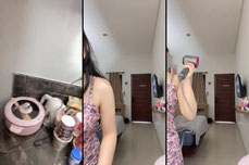 Untitled stream