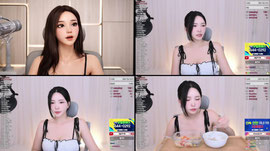 팬갑 퀵뷰드림