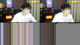 【羽】蓝莓狮皇 念念不忘必有回响 林木哥