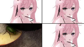 きゅん