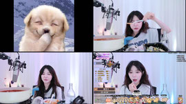 여캠 ʕ•ᴥ•ʔ 닭발닭바ㅏㄹ!!