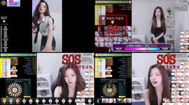 길냥이보호소 오픈 [해피월드 : 똥2]