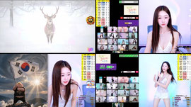 5000개 10퍼역팬 + 섹시정성방셀 [해피월드:귀족]