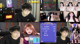 【羽】蓝莓狮皇 念念不忘必有回响 林木哥
