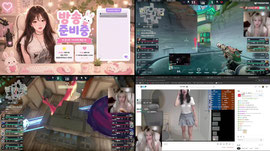 CK 구경 할까말까