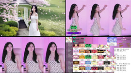 [더케이 : 용병] 500개 방셀 핀볼ㅅㅅㅅ 저금통 가능!