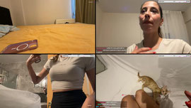 Yeni kedi sahiplenmece