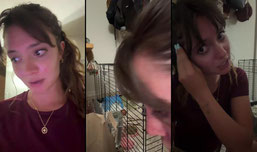 COME SET THIS ANIMALS HOME UP WITH ME