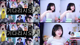 신울프를 아시나요?