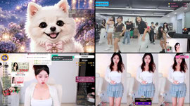 [최가네][설렘단모집]오리들 자리혀