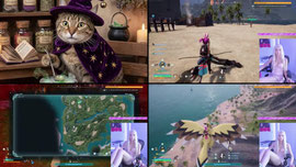 strictly gamer
