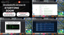 ASSEMBLY HACKING LIVE! x86 Assembly, Reverse Engineering & PicoCTF