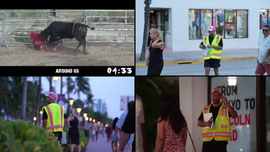 Disturbing The Peace In Miami!