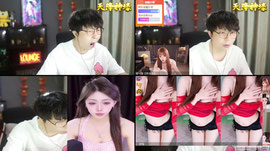 【羽】蓝莓狮皇 念念不忘必有回响 林木哥
