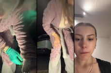 Untitled stream