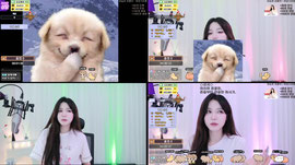 여캠 ʕ•ᴥ•ʔ  방종이 하고찝다 ^.^