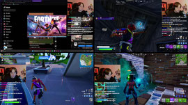DER VON ....🌿NEUES COOLES GAME🌿MINECRAFT 🌿ROBLOX🌿 VALORANT ROAD TO PLASTIK 2 🌿CHAT GAMES🌿