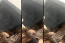 Untitled stream