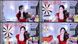 79개,,,