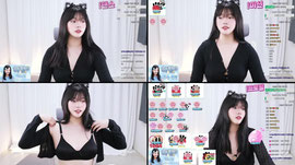 37일차) 고양이 보러 올래요?