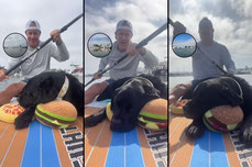 Monday paddle #462