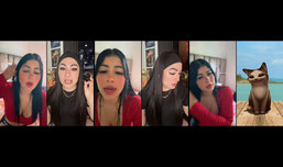 Untitled stream
