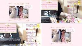 몬치치개봉/7팬갑퀵플/노래맛집/음악소통랜선야방여행/일본인///
