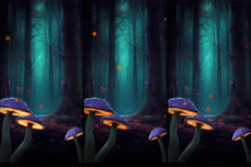 Untitled stream