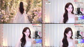 수요일 전용 여친