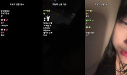 바보된냥