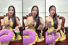 xin chào