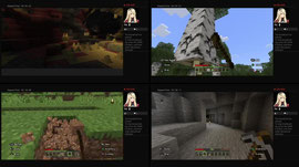 Playing Minecraft