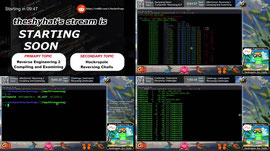 REVERSE ENGINEERING LIVE! ELF Binaries, Assembly & CTF Challenges