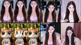佳哆宝回归了