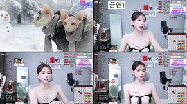 [ 44개 랜덤시그 ]   오전방 새가족 되어주실 오빵이...?   33개 홀짝♥ 74개 방셀룰렛♥