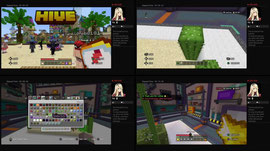 Playing Minecraft