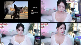 오늘 방셀안사면 개손해! 엉카300 추천